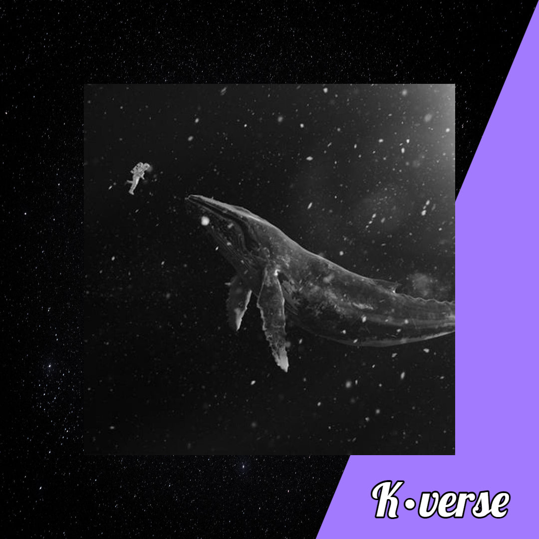 EXO Sing For You Chinese ver. Winter Special Album (Random)